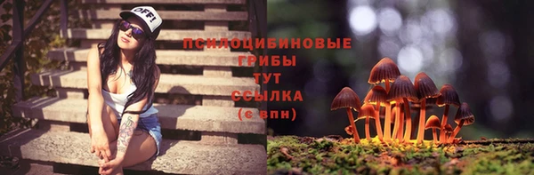 гидропоника Новозыбков