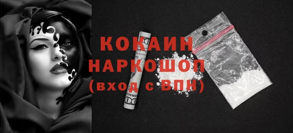 первитин Новодвинск