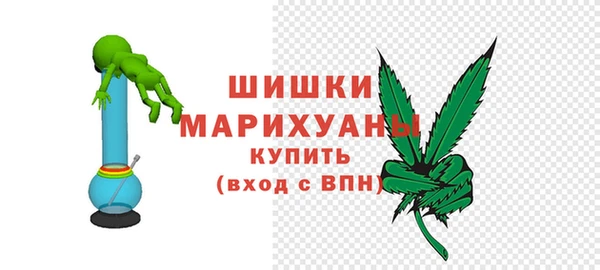 шишки Богданович