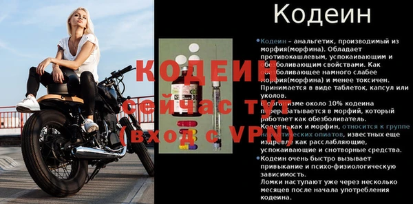 первитин Новодвинск