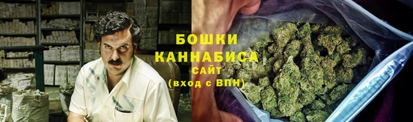 первитин Новодвинск