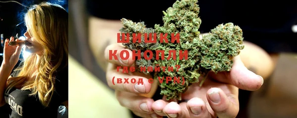 гидропоника Новозыбков