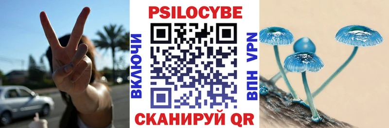 Галлюциногенные грибы MAGIC MUSHROOMS  продажа наркотиков  Губаха 
