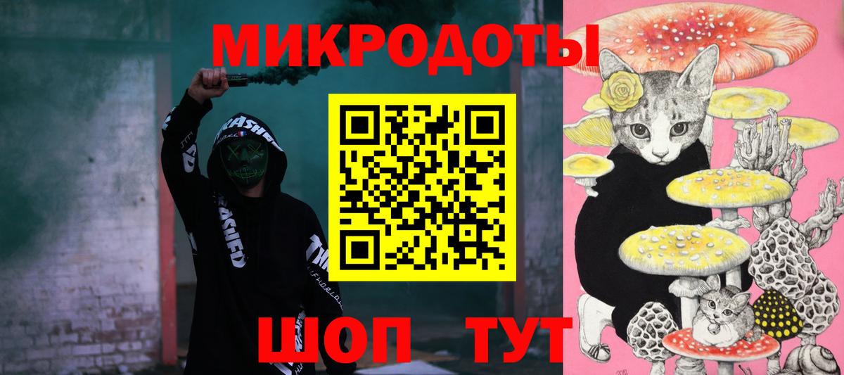 Губаха  Галлюциногенные грибы Psilocybe  Вход с VPN 