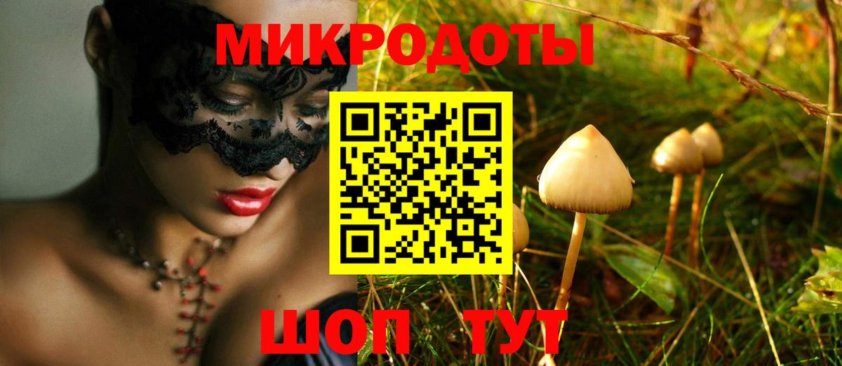 Псилоцибиновые грибы Psilocybe Губаха